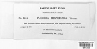 Puccinia mesnieriana image